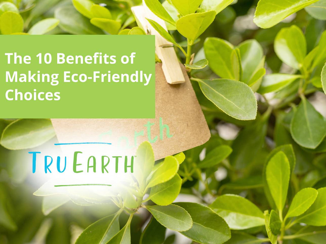 The 10 Benefits of Making Eco-Friendly Choices