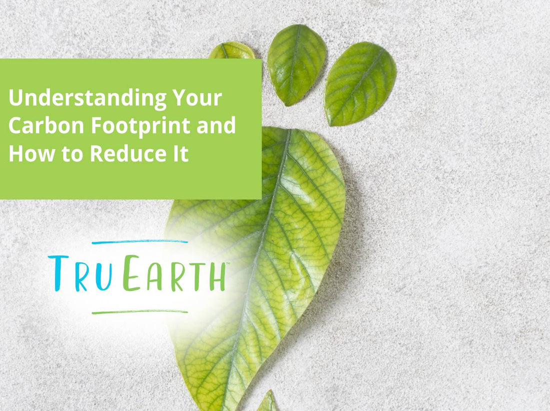 Understanding Your Carbon Footprint and How to Reduce It
