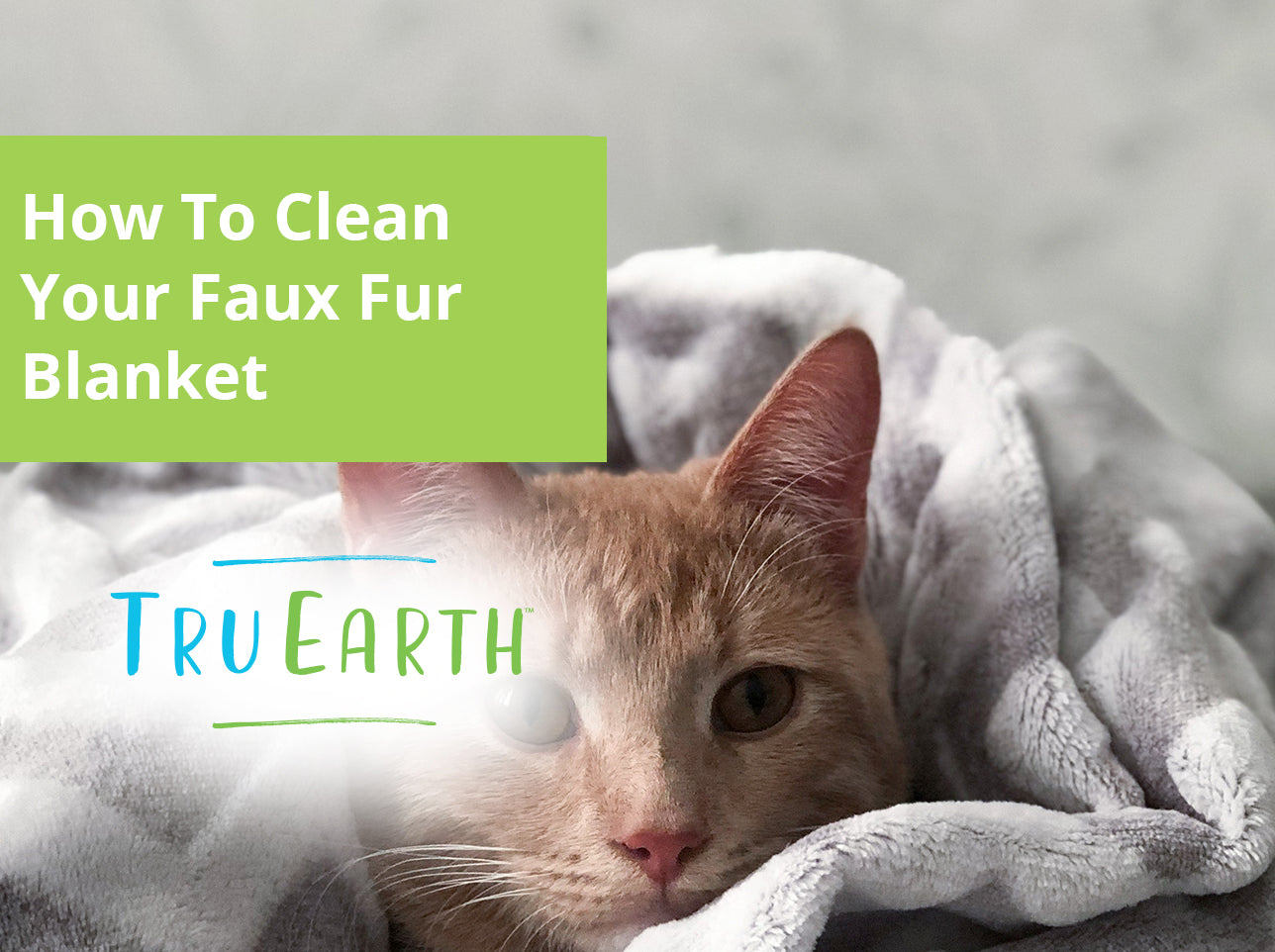 How To Clean Your Faux Fur Blanket – Tru Earth US