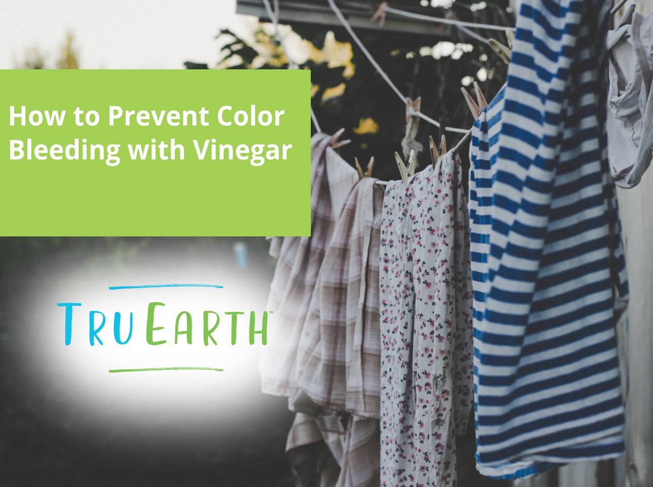 How to Prevent Color Bleeding with Vinegar Tru Earth US