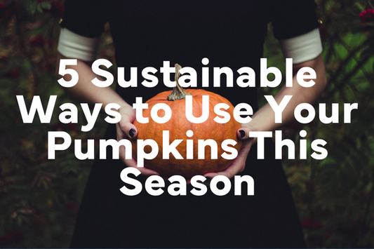 5 Sustainable Ways to Use Your Pumpkins After Spooky Season