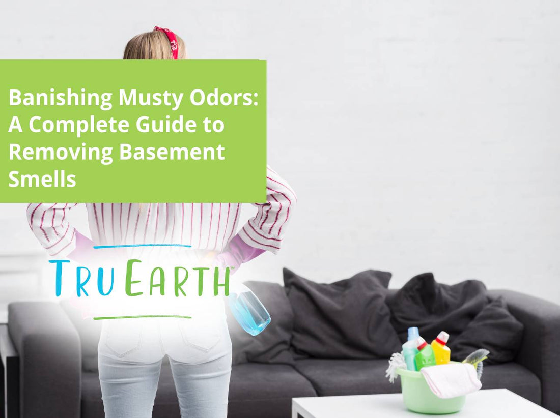 Banishing Musty Odors: A Complete Guide to Removing Basement Smells