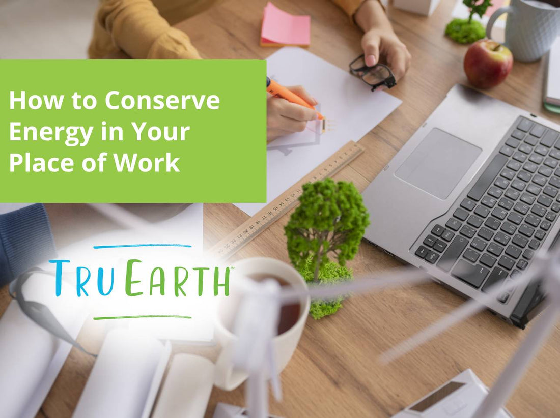 How to Conserve Energy in Your Place of Work