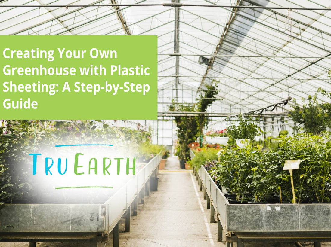 Creating Your Own Greenhouse with Plastic Sheeting: A Step-by-Step Guide