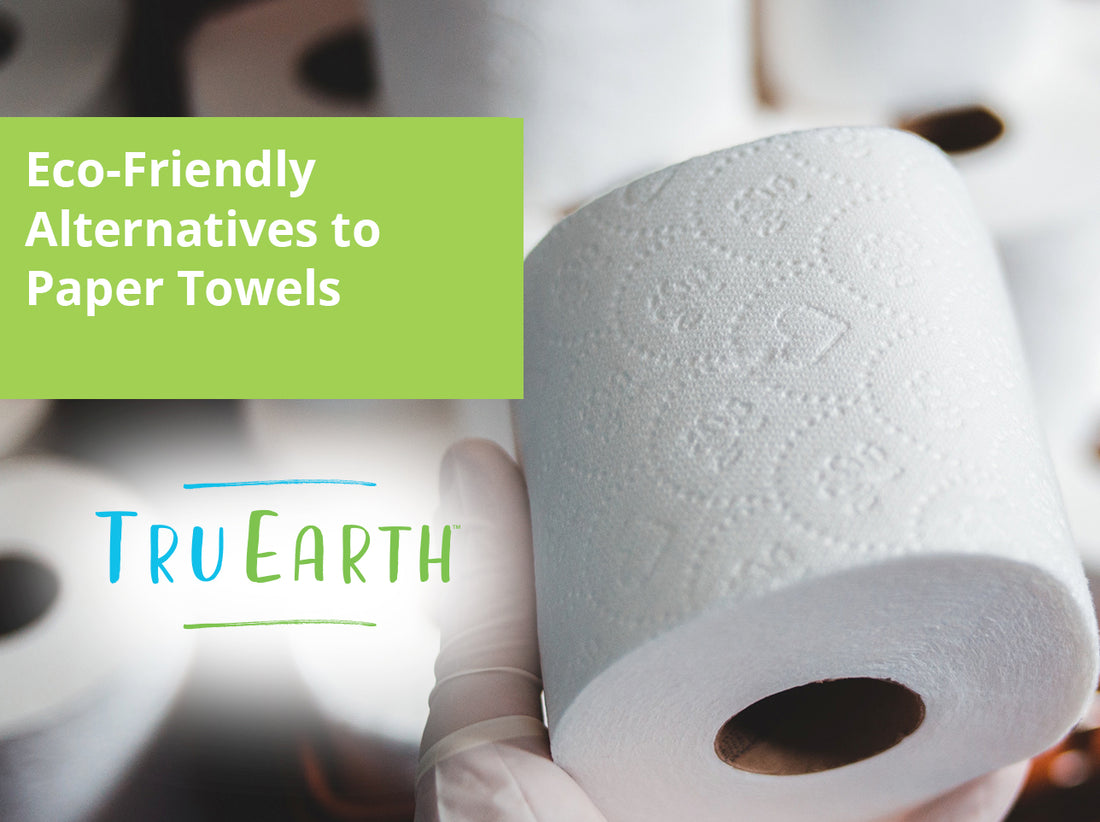 Eco-Friendly Alternatives to Paper Towels – Tru Earth US