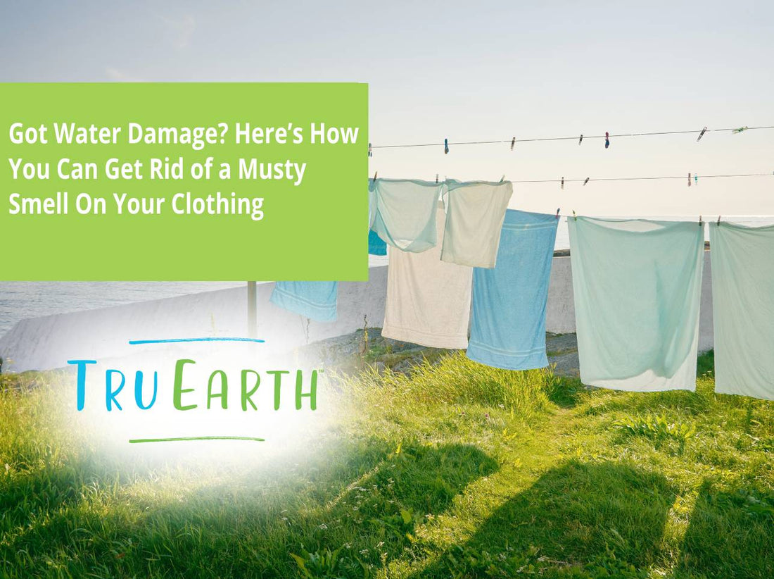 Got Water Damage? Here's How You Can Get Rid of a Musty Smell On Your Clothing