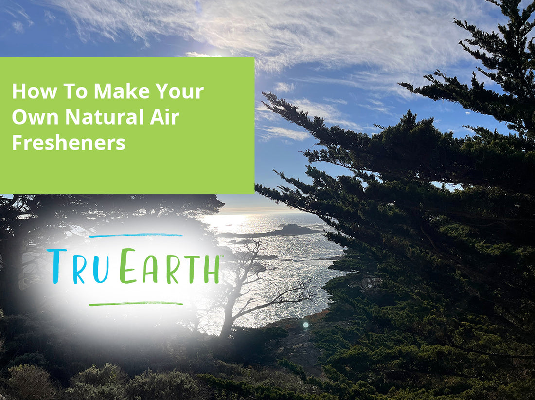 How To Make Your Own Natural Air Fresheners