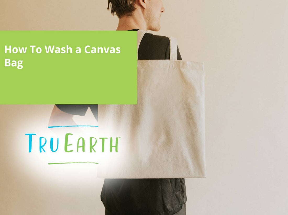 canvas bag deep cleaning hand wash tutorial