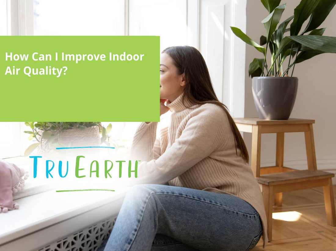 How Can I Improve Indoor Air Quality?