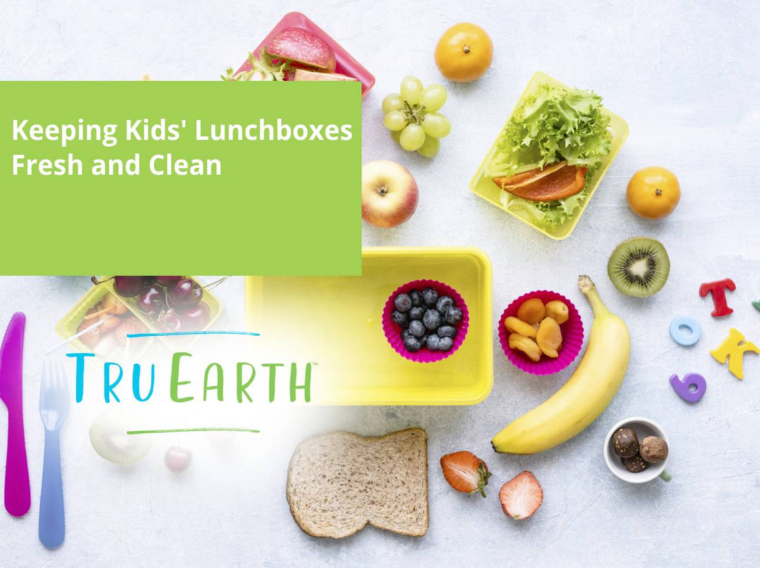 Keeping Kids' Lunchboxes Fresh and Clean