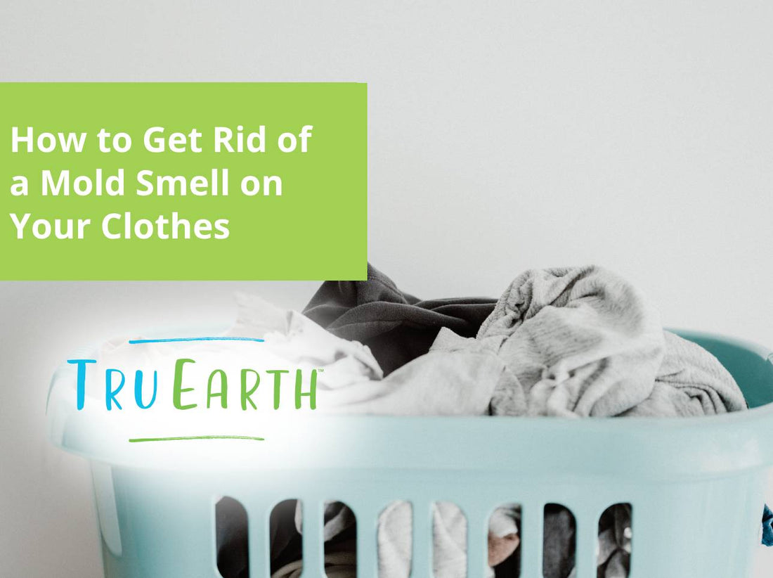 How to Get Rid of a Mold Smell on Your Clothes