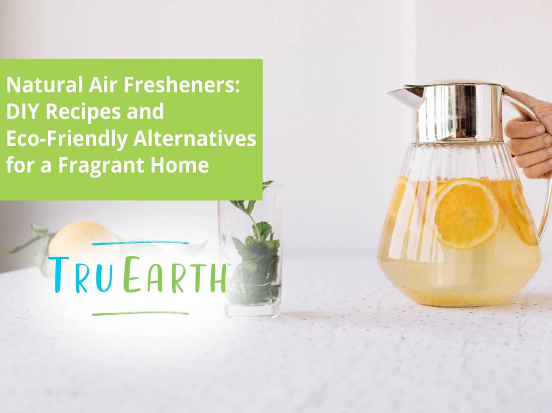 Natural Air Fresheners: DIY Recipes and Eco-Friendly Alternatives for a Fragrant Home