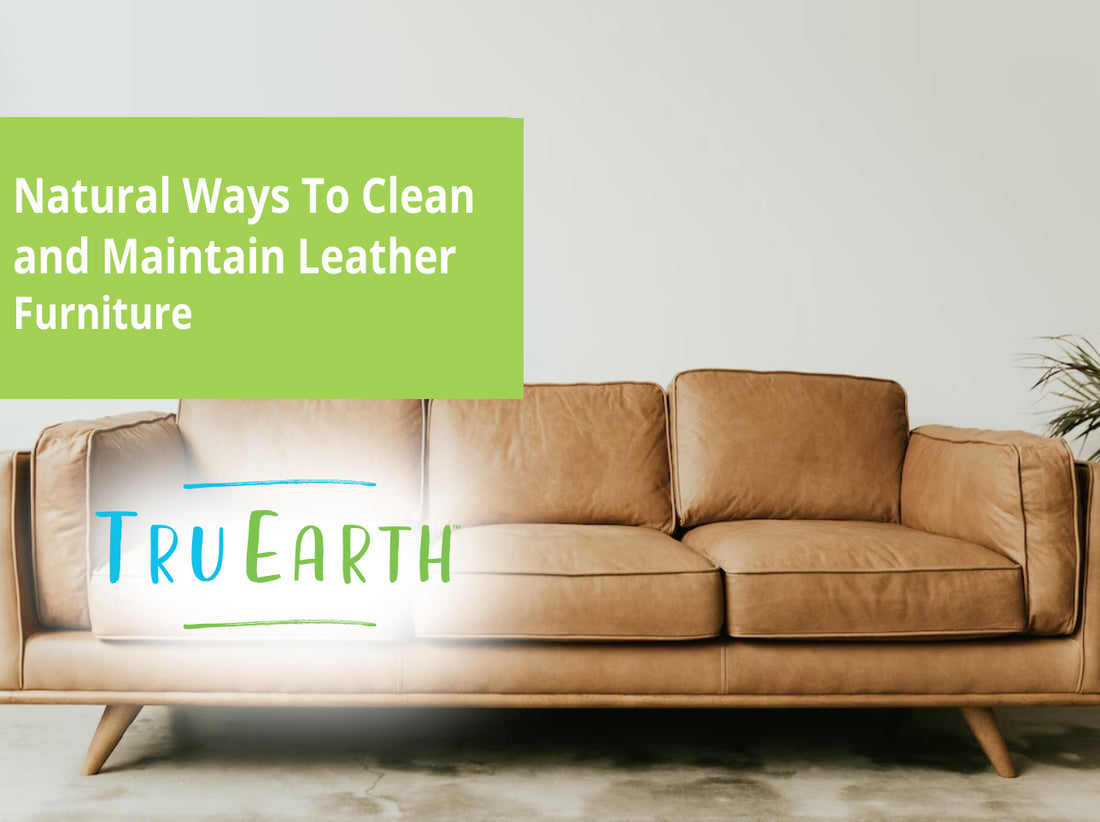 Natural Ways To Clean and Maintain Leather Furniture