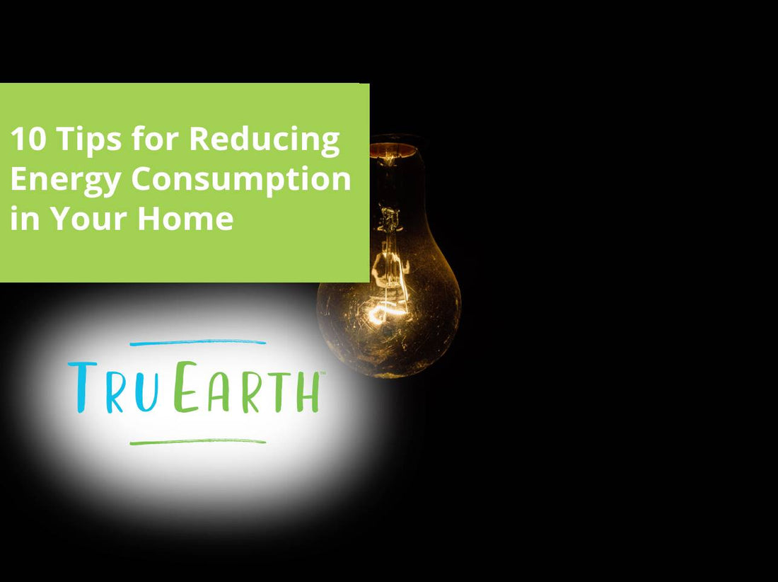 10 Tips for Reducing Energy Consumption in Your Home