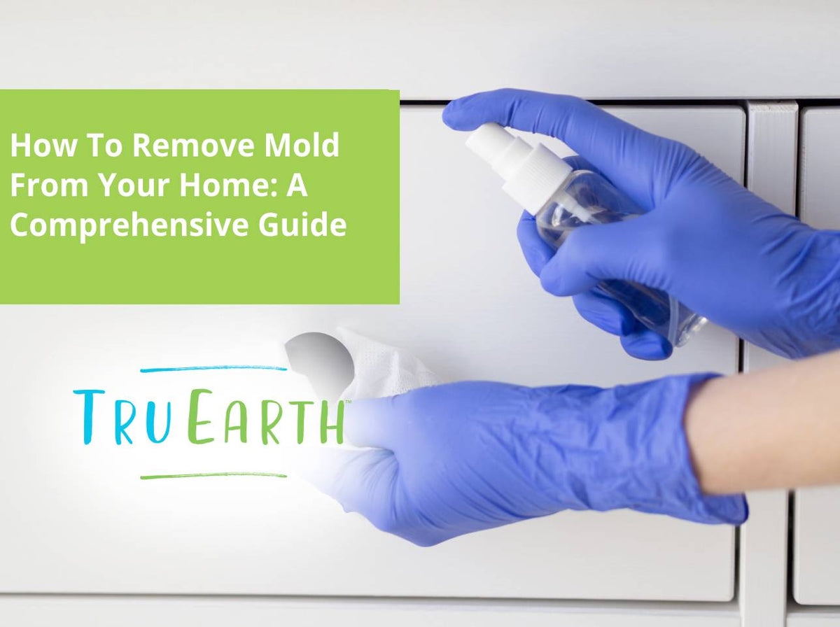 How To Remove Mold From Your Home: A Comprehensive Guide – Tru Earth US