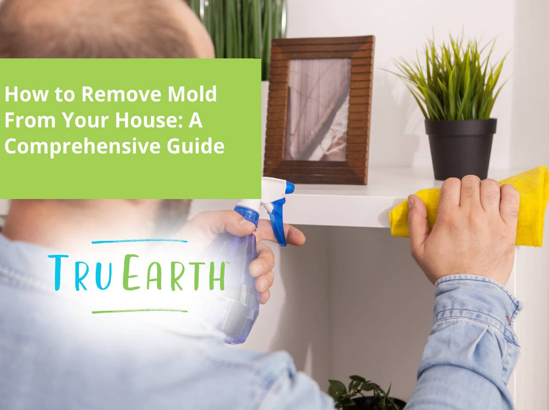 How to Remove Mold From Your House: A Comprehensive Guide