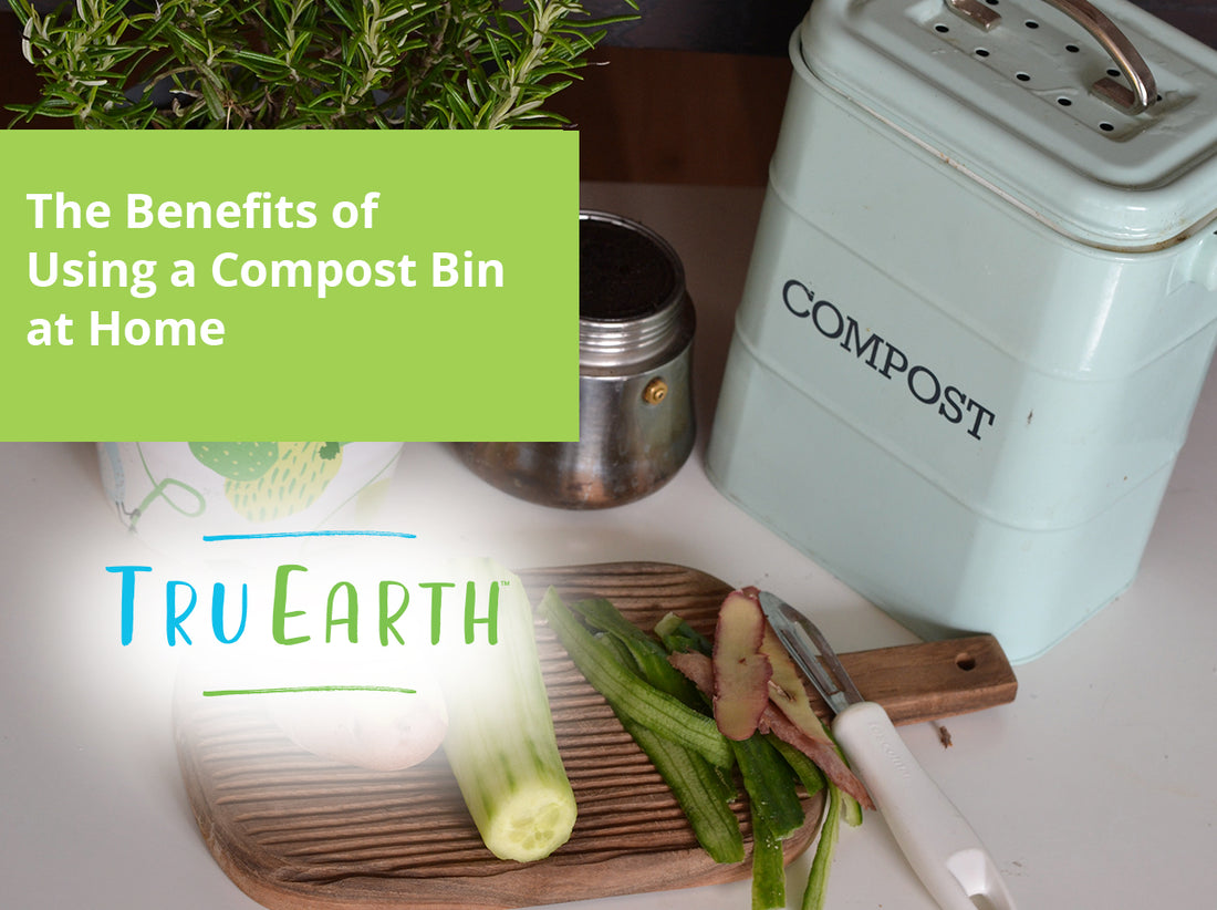 The Benefits of Using a Compost Bin at Home