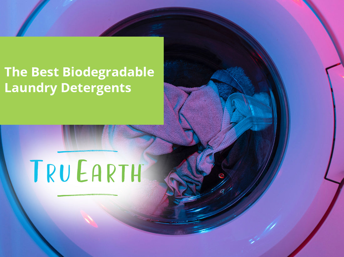 The Best Biodegradable Laundry Detergents