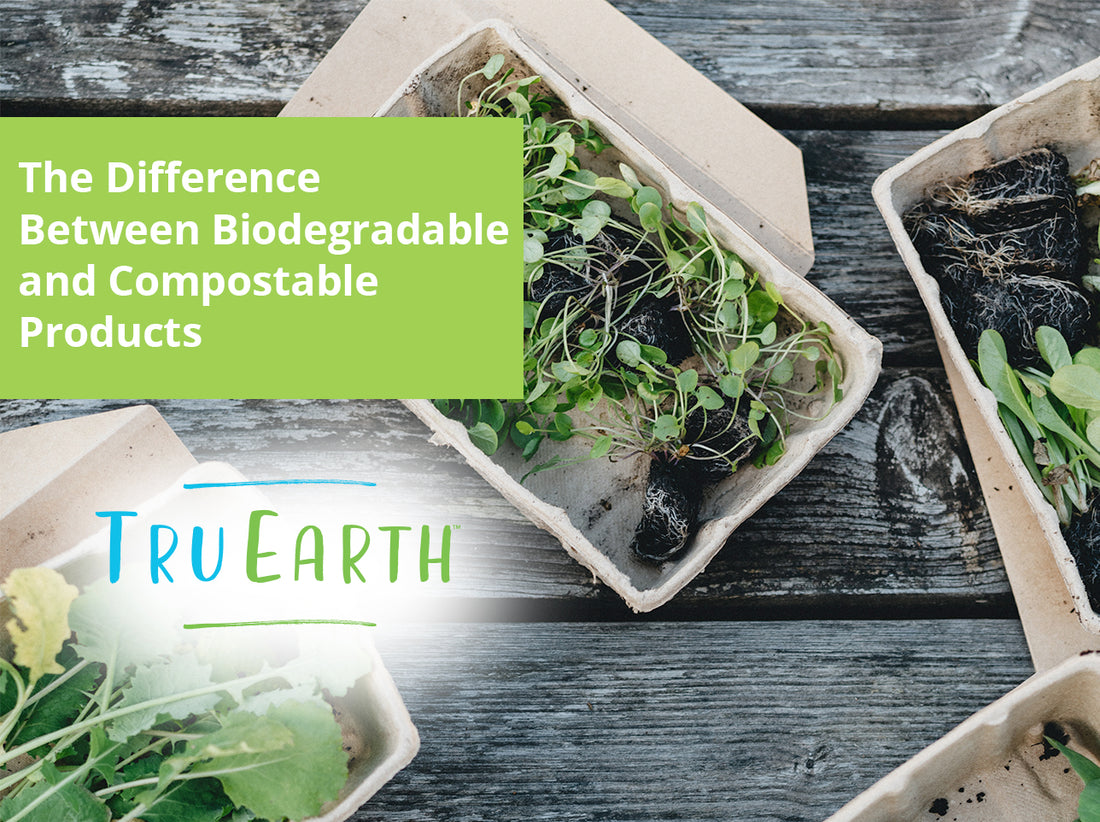 The Difference Between Biodegradable and Compostable Products