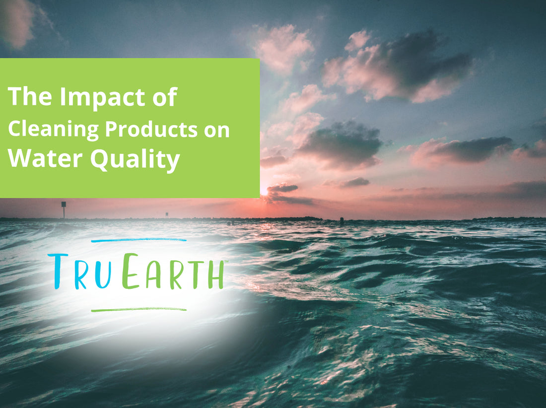 Impact of Cleaning Products on Water Quality