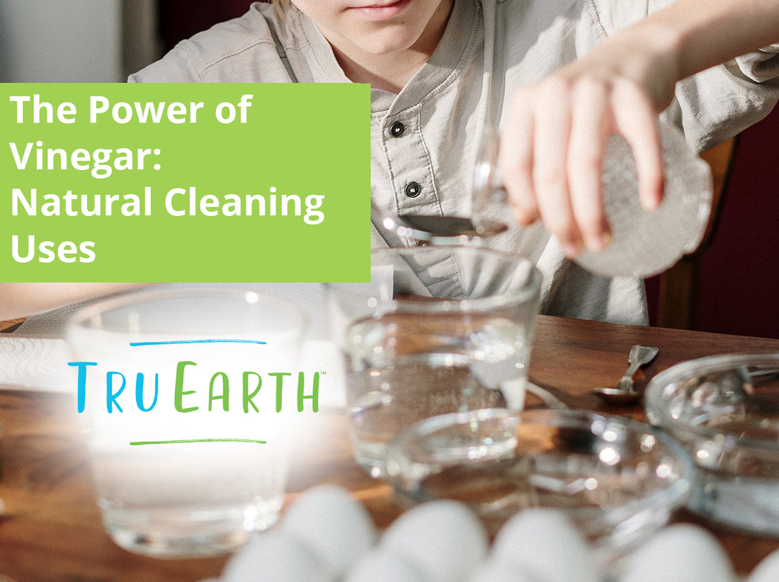 The Power of Vinegar: Natural Cleaning Uses