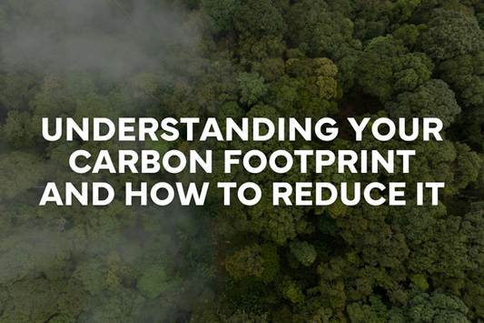 Understanding Your Carbon Footprint and How to Reduce It