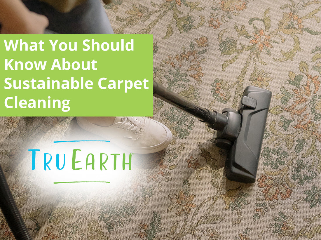 What You Should Know About Sustainable Carpet Cleaning