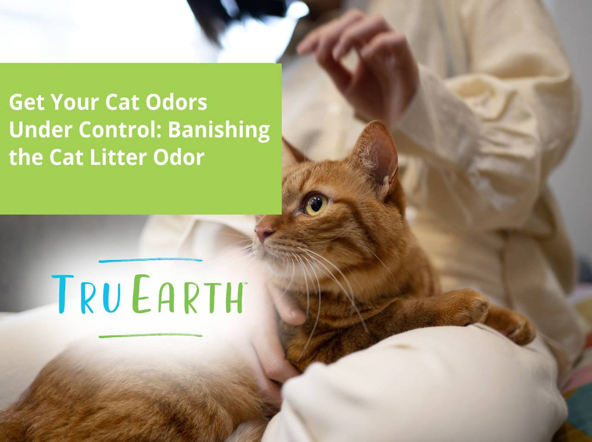 Get Your Cat Odors Under Control: Banishing the Cat Litter Odor – Tru ...
