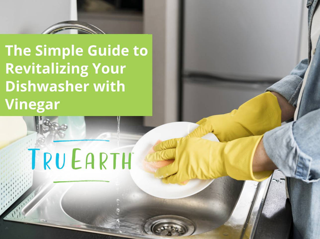 The Simple Guide to Revitalizing Your Dishwasher with Vinegar