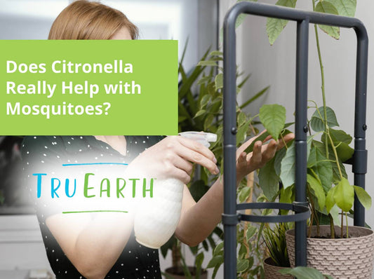 Does Citronella Really Help with Mosquitoes?