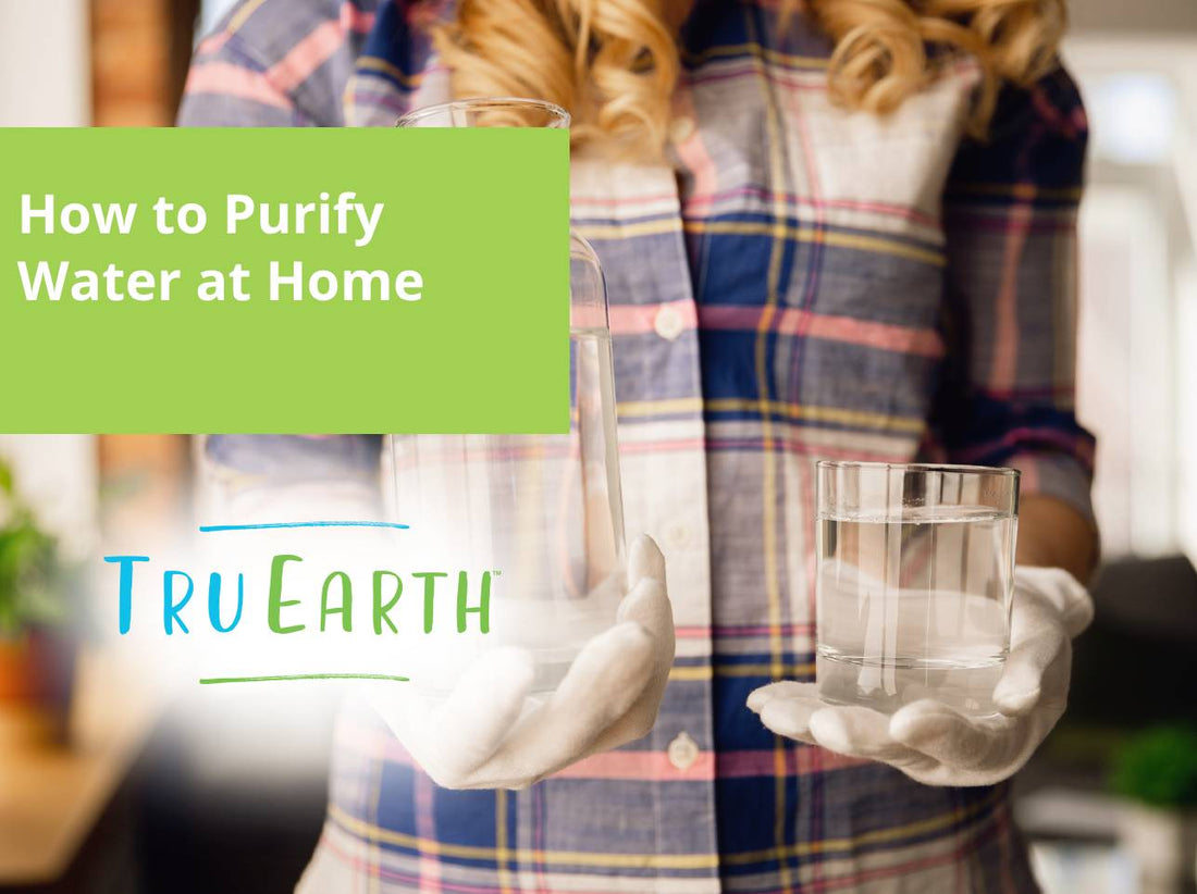 How to Purify Water at Home