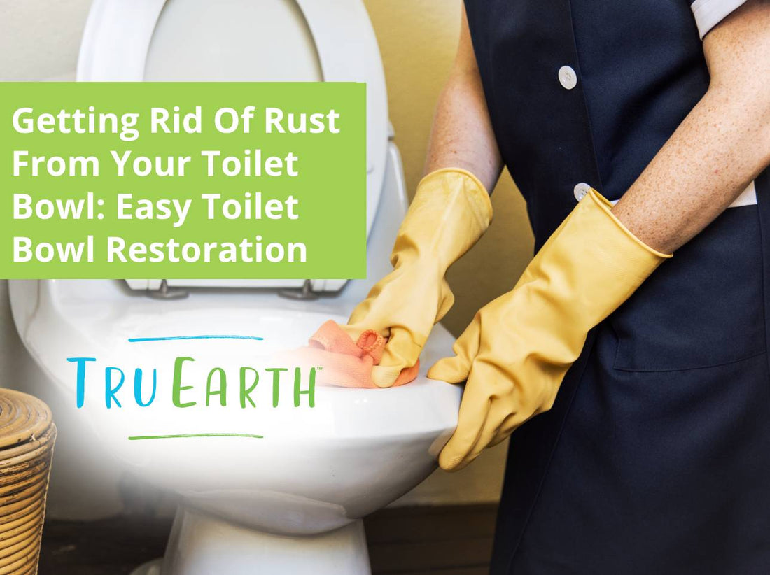 Getting Rid Of Rust From Your Toilet Bowl: Easy Toilet Bowl Restoration