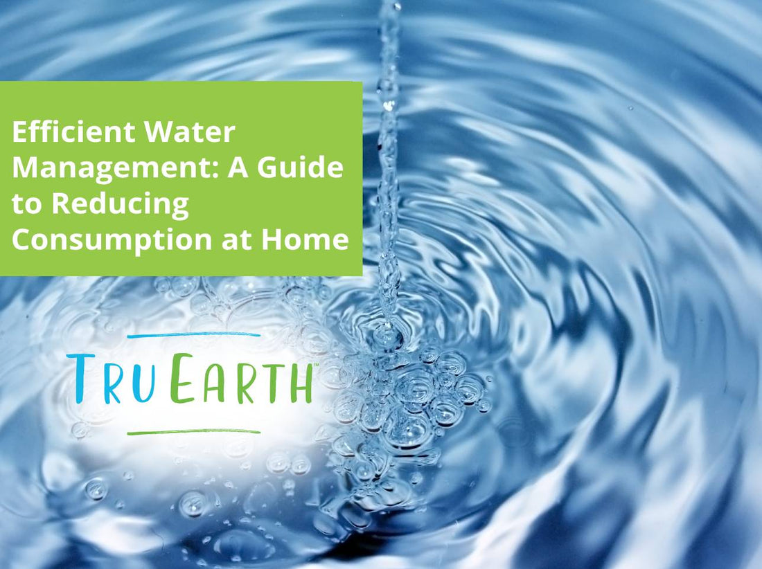 Efficient Water Management: A Guide to Reducing Consumption at Home