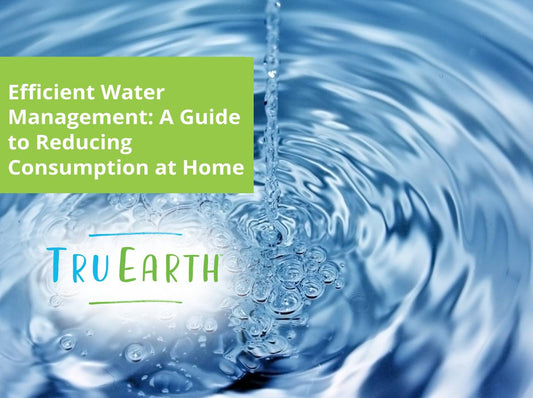 Efficient Water Management: A Guide to Reducing Consumption at Home