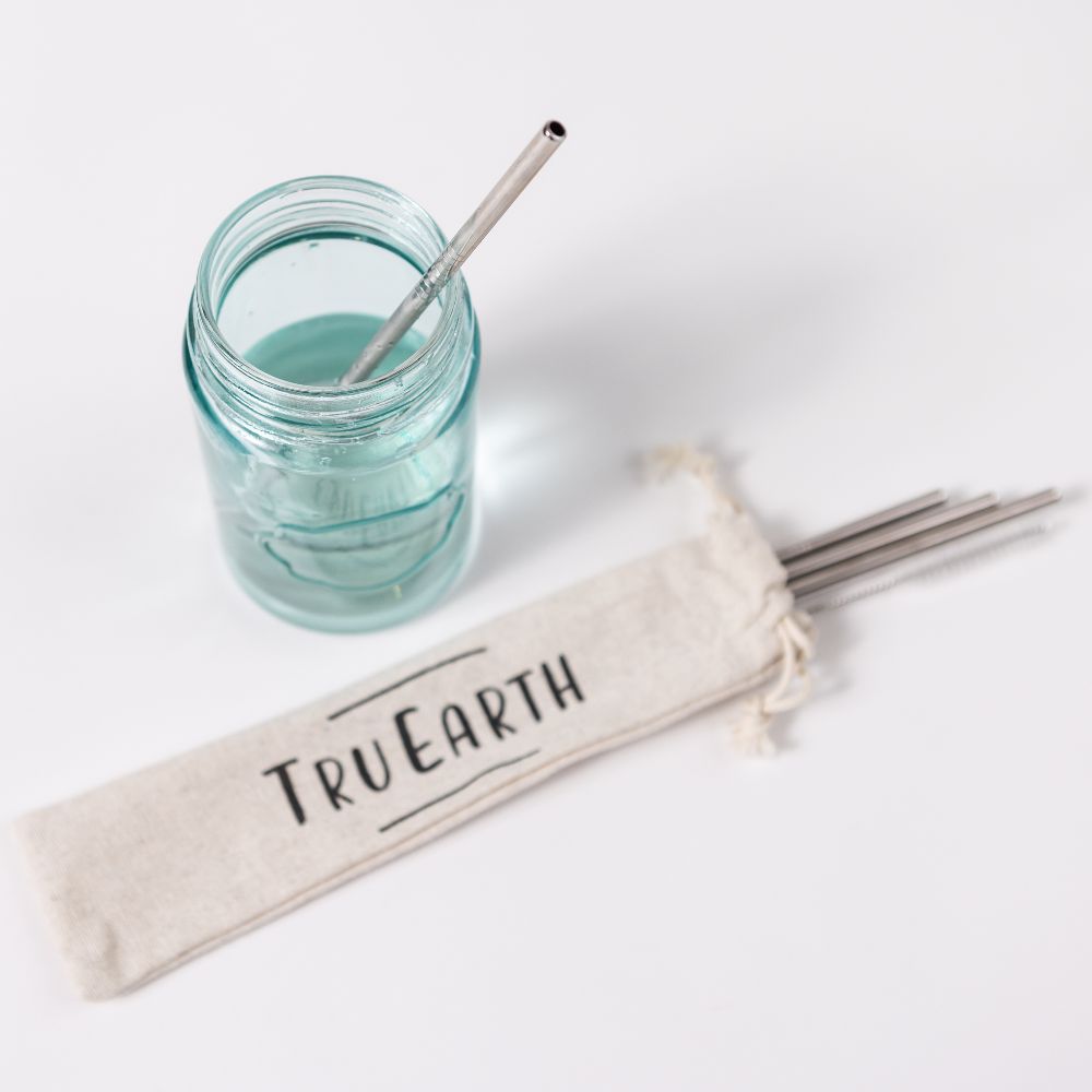 Tru Earth Stainless Steel Straws 4-pc Bag with cleaner